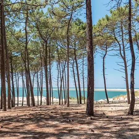Cozy In With Wifi Arcachon